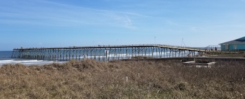 kure beach fishing