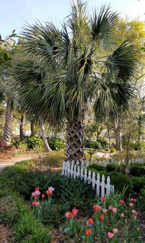 harbor way gardens wrightsville beach